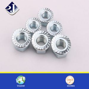 Xitoy fabrikasi yetkazib beruvchi ANSI / ASME B 18.16.4 Hex Flanş nonlarni Serrated